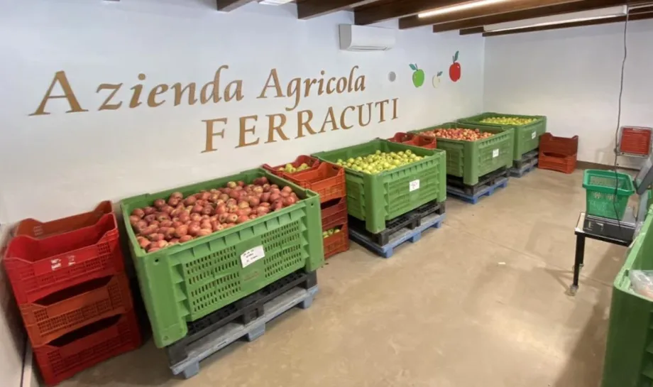 Sagritaly | Eccellenze Azienda Agricola Ferracuti