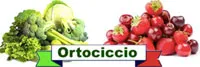 Sagritaly | Eccellenze Azienda Ortociccio Frutta e Verdura