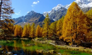 Novembre: eventi e sagre in Valle d'Aosta