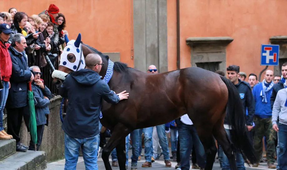 Sagritaly | Palio di Buti