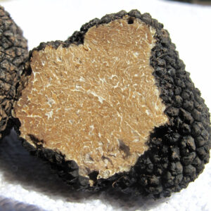 tartufo nero ricette | curiosando | Sagritaly